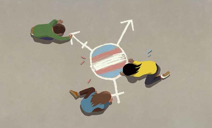 De Gezondheidsraad en het reguleringsklimaat rond puberteitsremming bij minderjarigen