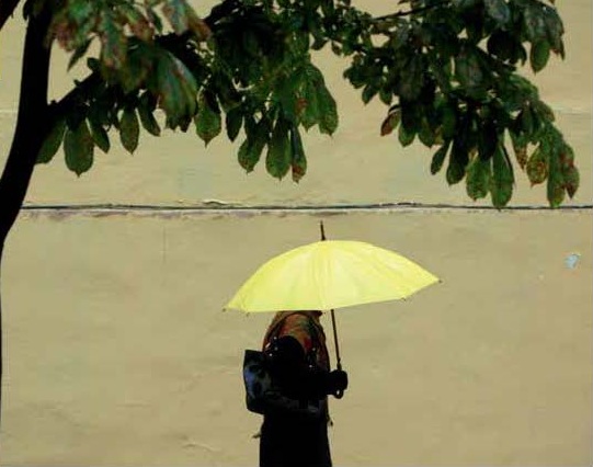 Tijdige en effectieve bescherming bij huwelijksdwang, achterlating en vrouwelijke genitale verminking