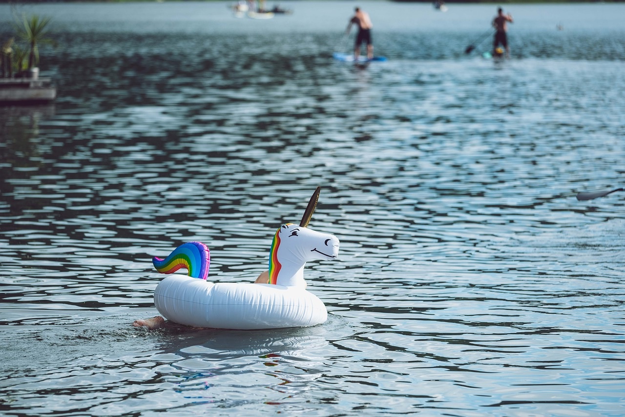 Het jaar van de Unicorn en voorheen de acceptgiro