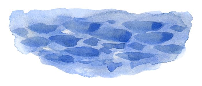 De Civiele Kamer in (slow) motion