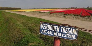 In de regel handhaven