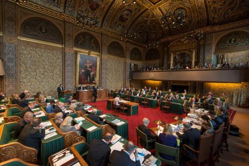 Constitutionele toetsing: voor behoud van de democratische rechtsstaat