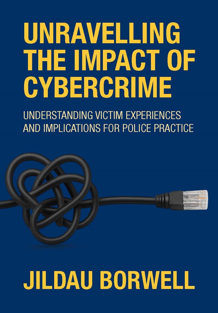 Unravelling the impact of cybercrime