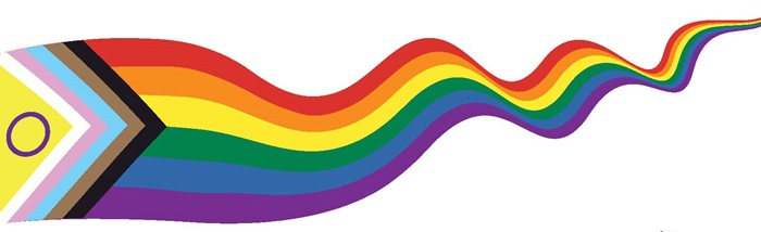 Reacties en naschrift bij 'In de boot genomen. Rechters in de botenparade van Pride Amsterdam?'